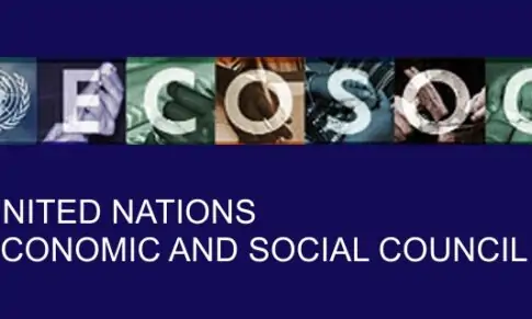 Συμβουλευτική Ιδιότητα στο ECOSOC